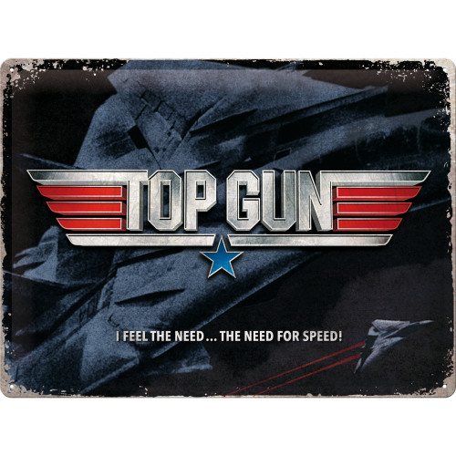 Top Gun The Need for Speed - Skilti