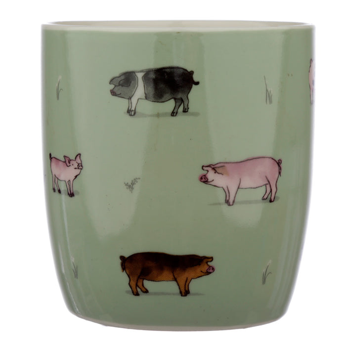 Willow Farm Pigs - bolli