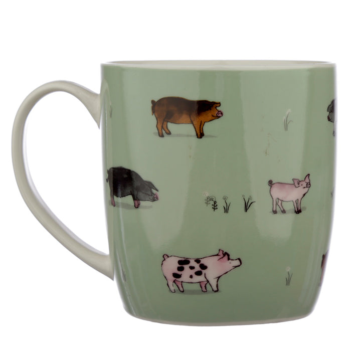 Willow Farm Pigs - bolli
