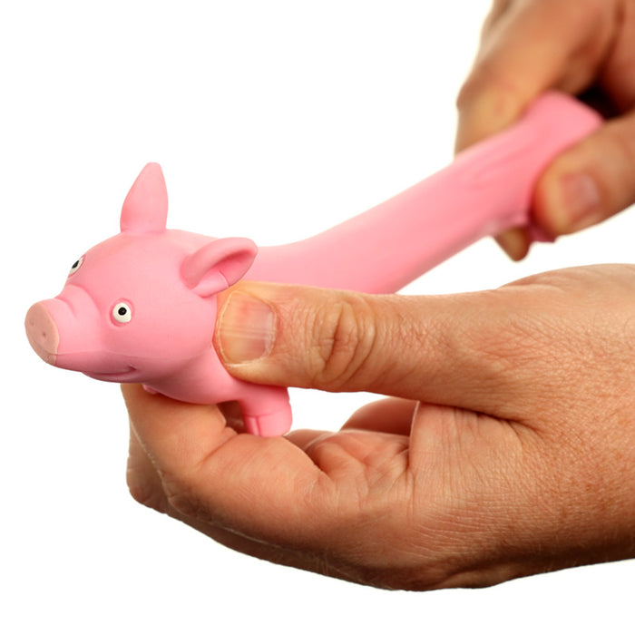 Squeezy Stretchy Pig fidget