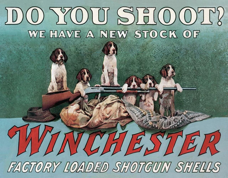 Winchester Do You Shoot - 2442